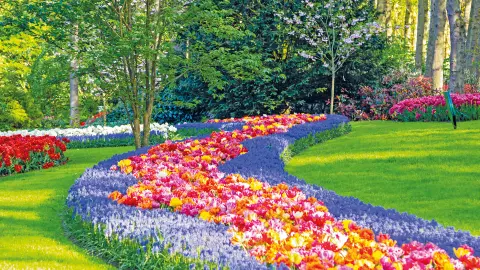 Keukenhof-placeholder