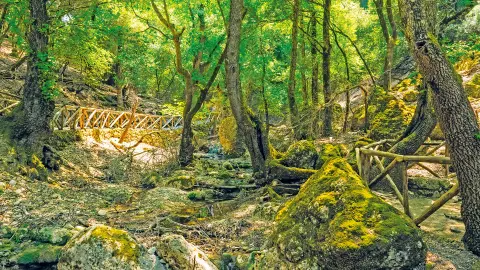 Tal der Schmetterlinge-placeholder