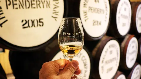 Whisky-Tasting in Penderyn-Distillerie-placeholder