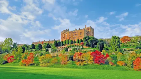 Blick auf Powis Castle-placeholder
