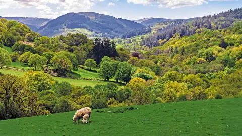 Panoramafahrt durch den Snowdonia-Nationalpark-placeholder