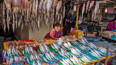 Fischmarkt in Busan-placeholder