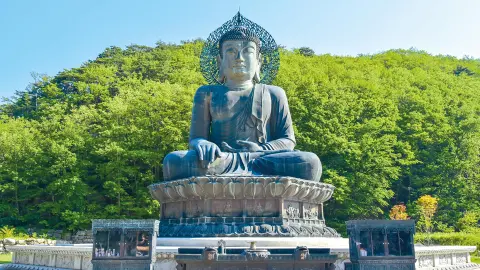 Buddha der großen Wiedervereinigung-placeholder
