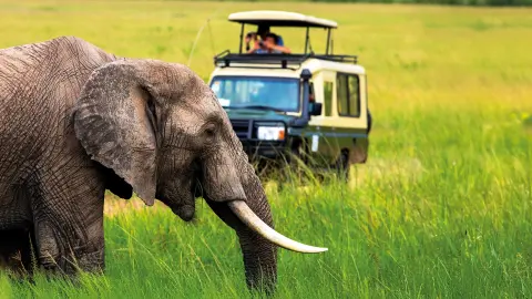 Pirschfahrt in einem exklusiven Geländewagen-placeholder