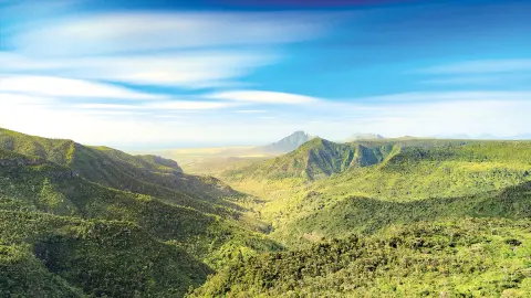 MRU111_Trauminsel-Mauritius_EV_26_content_1920x1080px_Black-River-Gorges-NP-placeholder