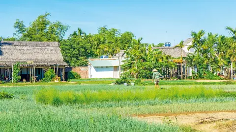 Kräuterdorf Tra Que-placeholder