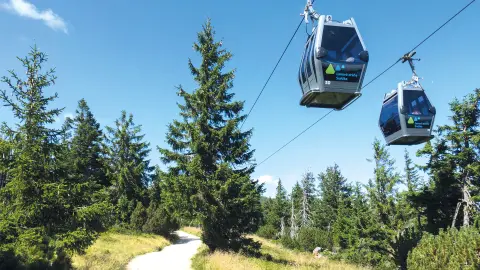 Seilbahnfahrt zur Mittelstation Rosenberg inkl.-placeholder