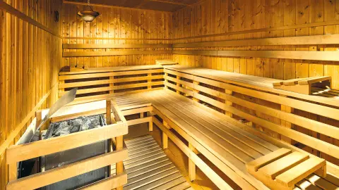 Pinia Hotel & Resort, Sauna-placeholder