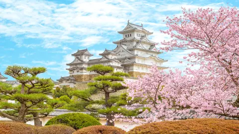 Burg in Himeji-placeholder