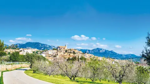 Zauberhafte Mandelblüte auf Mallorca, Großes Mandelblüten- Erlebnispaket mit 4 spannenden Ausfl ügen 4-Sterne-Hotel mit Halbpension Plus an der Playa de Palma-placeholder