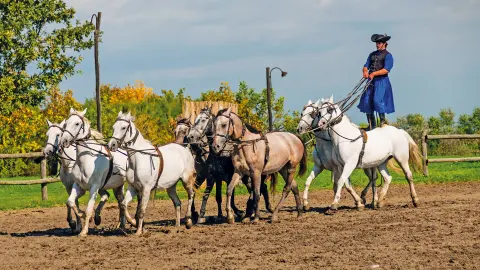 Wunderschöner Ausflug „Ungarn mit allen Sinnen erleben“-placeholder